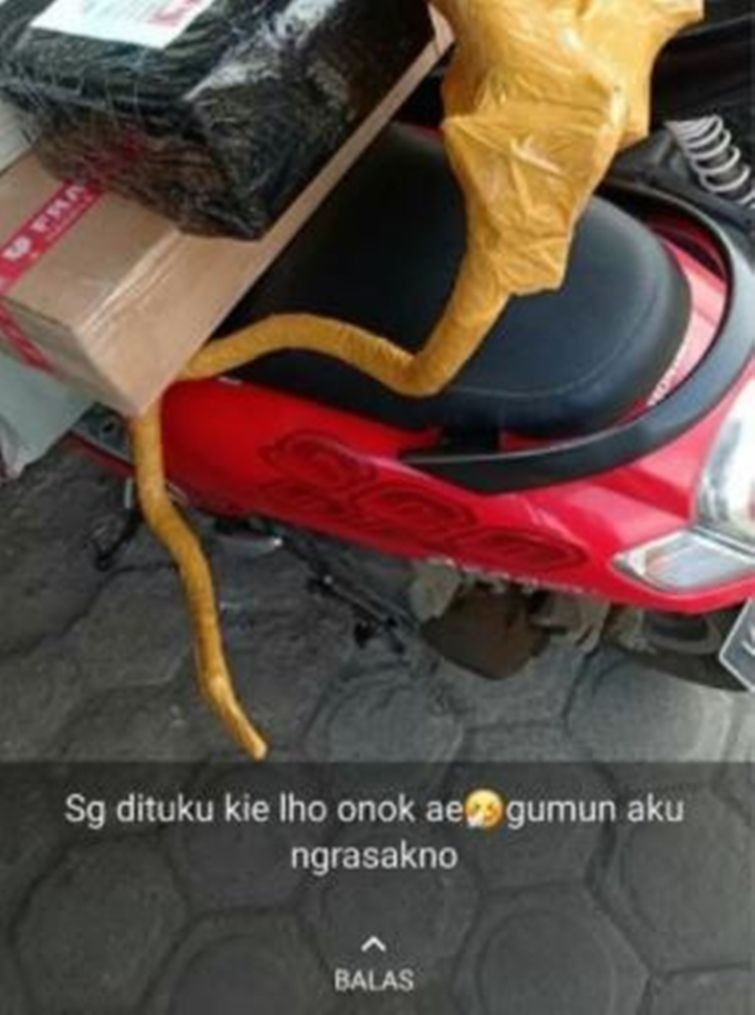 Potret Kocak Packing Paket Ini Terlalu Absurd, Dan Salah Fokus